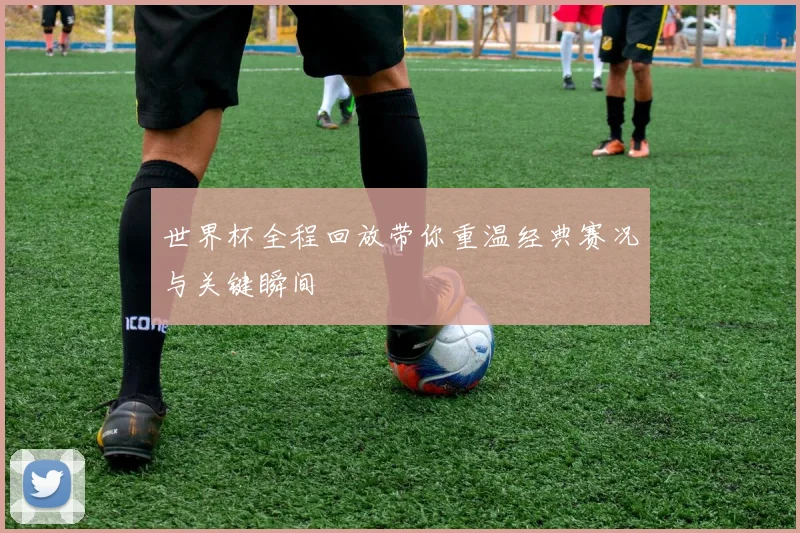 世界杯全程回放带你重温经典赛况与关键瞬间