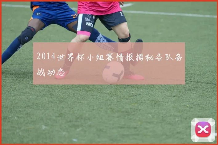 2014世界杯小组赛情报揭秘各队备战动态