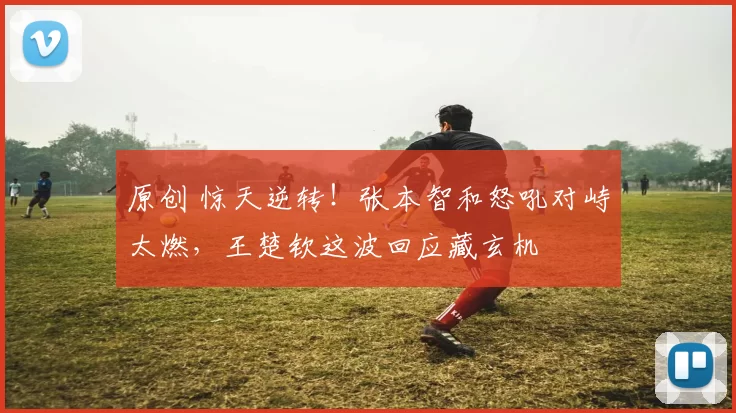 原创 惊天逆转！张本智和怒吼对峙太燃，王楚钦这波回应藏玄机