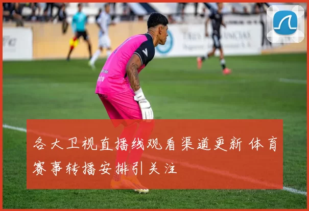 各大卫视直播线观看渠道更新 体育赛事转播安排引关注