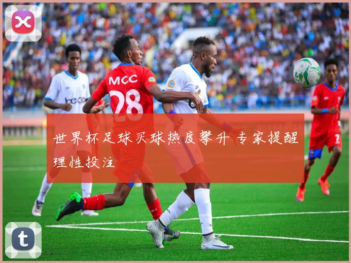世界杯足球买球热度攀升 专家提醒理性投注