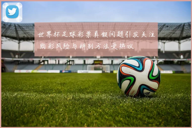 世界杯足球彩票真假问题引发关注 购彩风险与辨别方法受热议